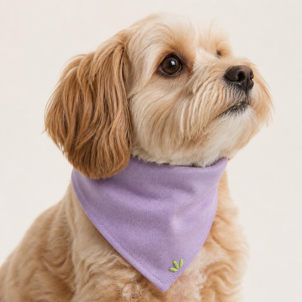For Pets